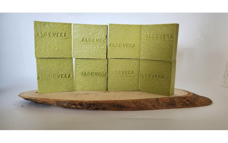 KENTEN ÇİÇEK GRUBU ALOEVERA 8 Lİ